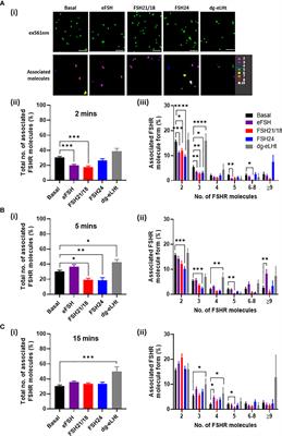 Differential FSH Glycosylation Modulates FSHR Oligomerization and Subsequent cAMP Signaling